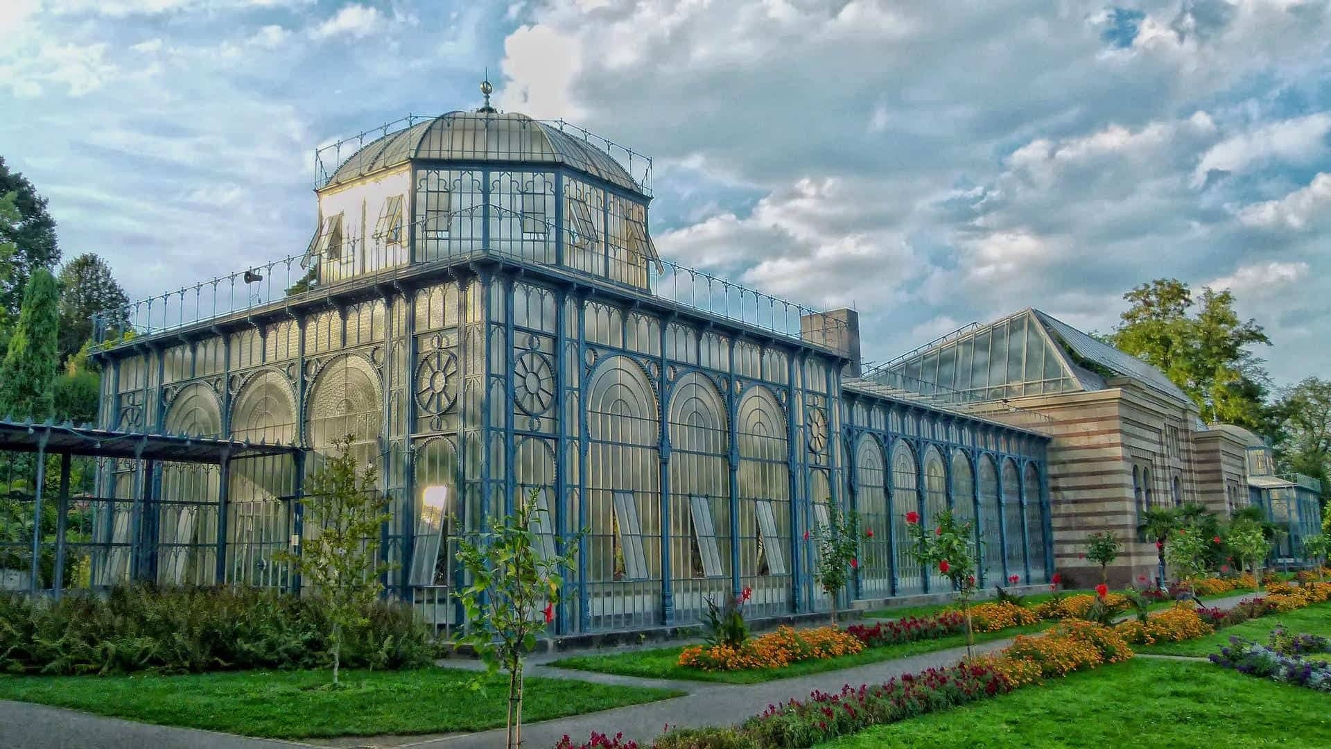 stuttgart-greenhouse